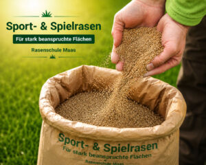 Rasensaatgut Sport & Spiel