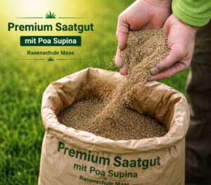 Rasensaatgut Premium Supina
