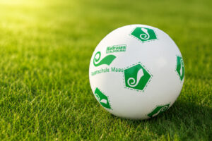 Spiel- und Sportrasen