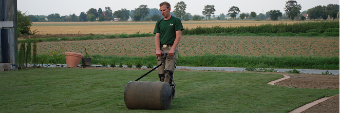 Anwalzen des Rollrasens